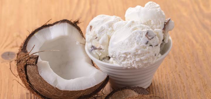 Dairy-Free Vanilla Coconut Milk Ice Cream