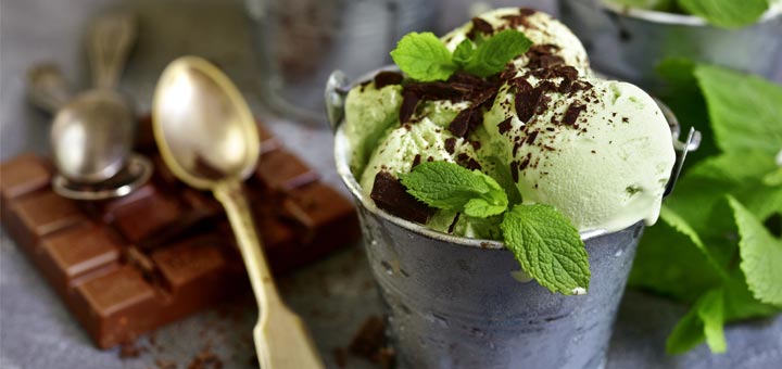 Vegan Mint Chocolate Chip Ice Cream